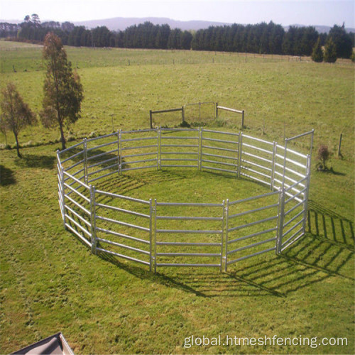 Livestock Cattle Panel Galvanized livestock panels galvanized cattle fence panel Factory